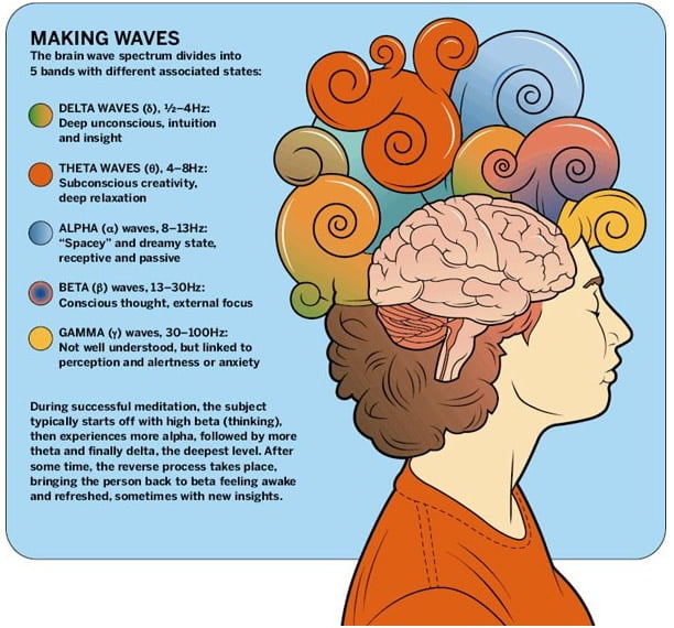 brain waves infographic