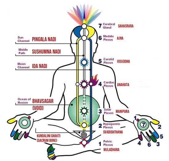 awaken kundalini chakra system